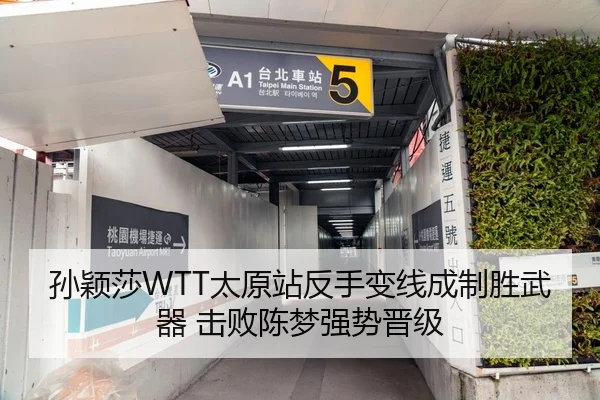 孙颖莎WTT太原站反手变线成制胜武器 击败陈梦强势晋级