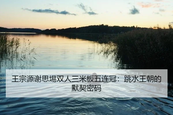 wang-zong-yuan-xie-si-yi-shuang-ren-san-mi-ban-wu-lian-guan-tiao-shui-wang-chao-de-mo-qi-mi-ma-2-884.jpg