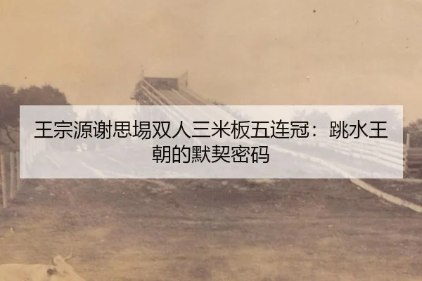 王宗源谢思埸双人三米板五连冠：跳水王朝的默契密码