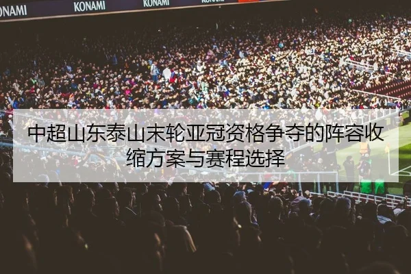 zhong-chao-shan-dong-tai-shan-mo-lun-ya-guan-zi-ge-zheng-duo-de-zhen-rong-shou-suo-fang-an-yu-sai-cheng-xuan-ze-2-204.jpg